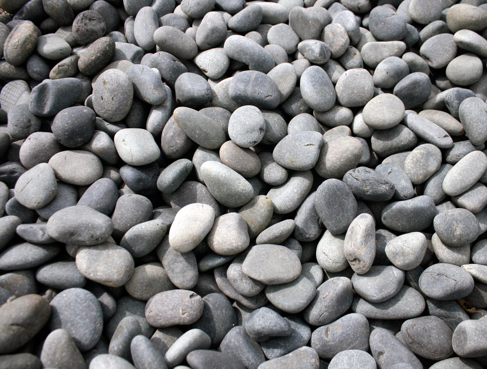 Mexican Beach Pebbles Green Stone Company