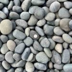 mexican-beach-pebbles-2-3-cobbles-greenstone-natural-stone-supplier-landscape-supply